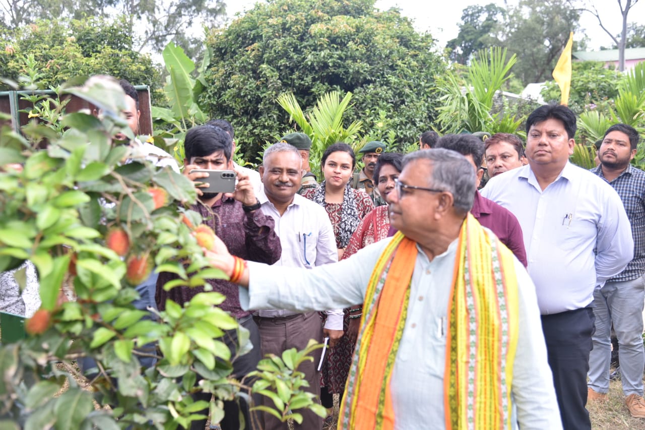 Mangosteen, Rambutan, Avocado cultivation started in Tripura: Agriculture Minister