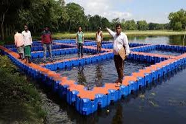 Cage culture project launched at Twisinta Lake to boost livelihood