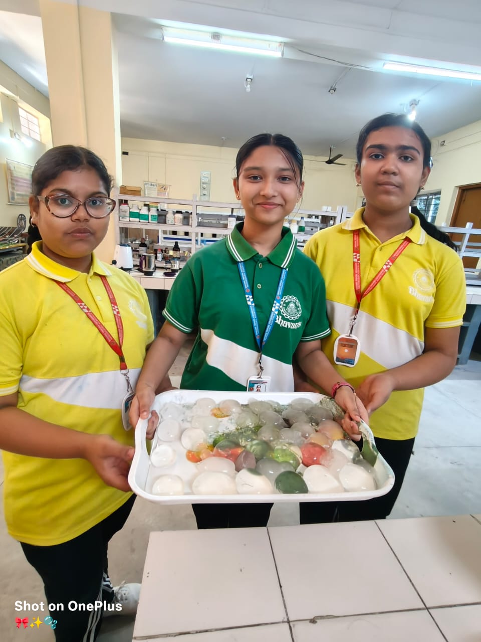 Bhavan’s Tripura Vidyamandir unveils eco-friendly ‘Jadui Neer’