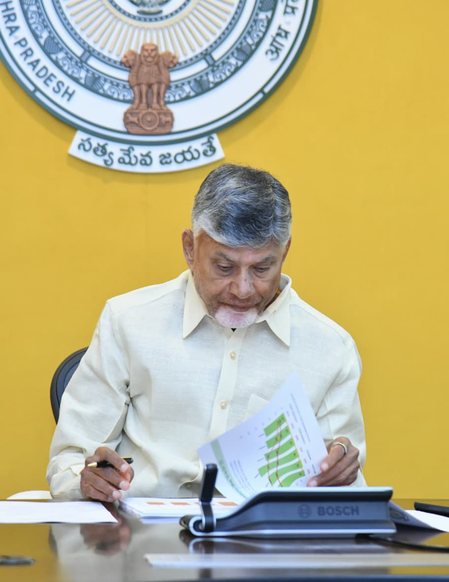 Naidu orders full revenue system overhaul within a year