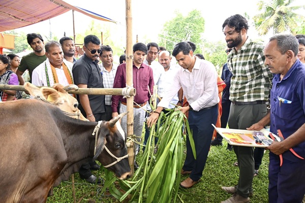 Tripura Launches FMD Vaccination Drive for Livestock