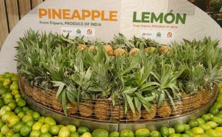 Tripura's organic produce wins strong response in Dubai