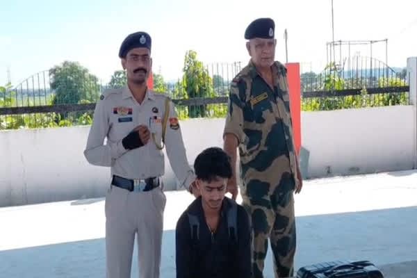 12 Kg Cannabis Seized at Udaipur Station; Youth Arrested