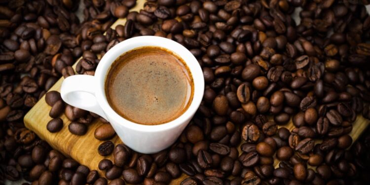 Nagaland To Host International Coffee Seminar 2024 On October 1-2