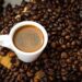 Nagaland To Host International Coffee Seminar 2024 On October 1-2