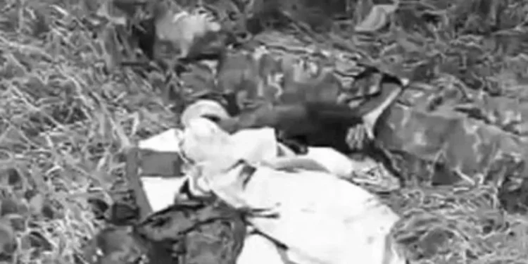 Manipur: 6 killed in gun-battle between Indian, Myanmar rebels