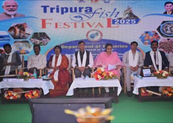 State-level Fish Festival held