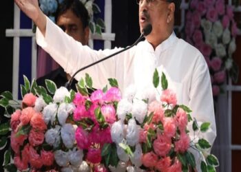 Satellite townships will be built in three locations: CM