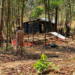 Counter-Insurgency Operations Continue After Assam Rifles Kill 10 Militants in Manipur