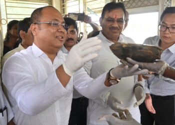 Tripura Celebrates First-Ever World Turtle Day with Focus on Conservation at Kalyan Sagar