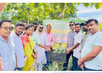 Bishalgarh Pineapples Reach Delhi in Landmark Export for Tripura