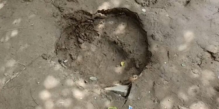 Recurring Elephant Attacks Leave Krishnapur Villagers in Fear and Frustration