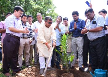 Tripura covers 4,000 ha land for oil palm cultivation: Agriculture Minister