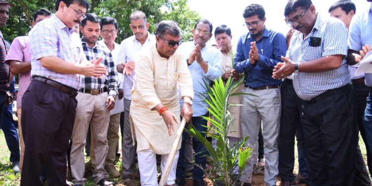 Tripura covers 4,000 ha land for oil palm cultivation: Agriculture Minister