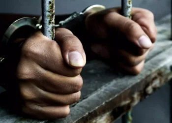 Tripura Man Arrested in Bengaluru for Insulting Kannadigas and Karnataka