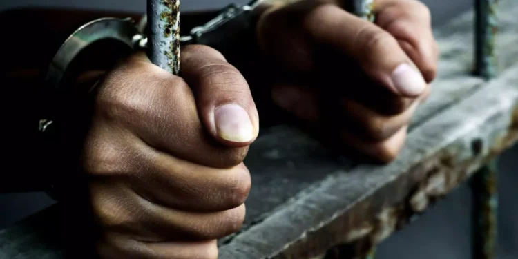 Tripura Man Arrested in Bengaluru for Insulting Kannadigas and Karnataka