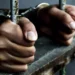 Tripura Man Arrested in Bengaluru for Insulting Kannadigas and Karnataka