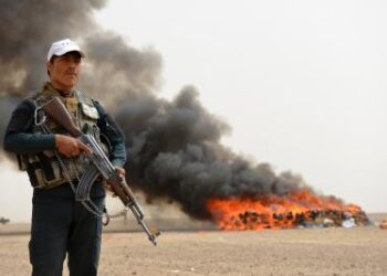 Afghan Forces Intensify Anti-Drug Operations, Foil Smuggling Attempts Across Provinces