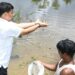 Tripura Pushes for Self-Sufficiency in Fish Production: Minister Sudhangshu Das Leads Fish Seed Release at Jagannathpur