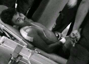 2 Bangladeshi Smugglers Killed in BSF Firing at Belonia Border