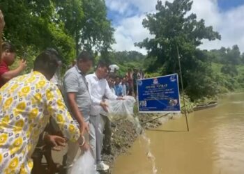 1.84 Lakh Fish Fingerlings Released into Khowai River to Boost Livelihoods and Biodiversity