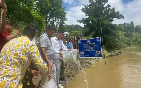 1.84 Lakh Fish Fingerlings Released into Khowai River to Boost Livelihoods and Biodiversity