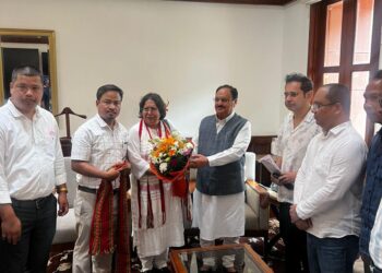 TIPRA Motha Leaders Meet JP Nadda, Seek Implementation of SIR and TIPRASA Accord