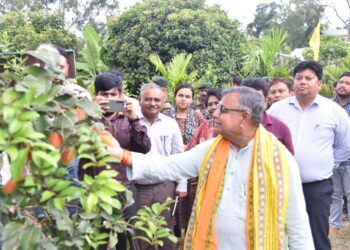 Mangosteen, Rambutan, Avocado cultivation started in Tripura: Agriculture Minister