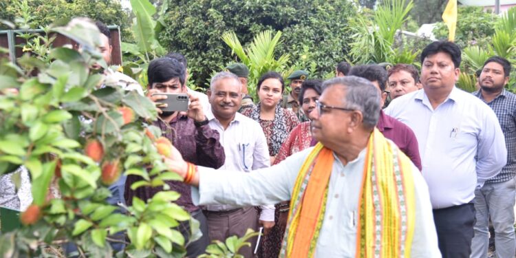 Mangosteen, Rambutan, Avocado cultivation started in Tripura: Agriculture Minister