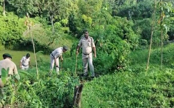 Jatrapur Police Seize 8 Kg Cannabis, Destroy 2 Lakh Saplings in Major Operation