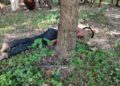 Drunken Father Murders 13-Year-Old Son in Melaghar; Police Launch Manhunt