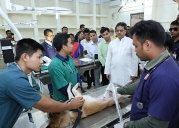 SHIJA hospital to come up near RK Nagar, bhoomipujan on November 5: CM