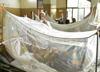 Five More Die of Dengue in Bangladesh, Toll Rises to 283 in 2025