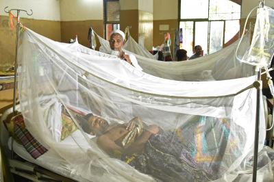 Five More Die of Dengue in Bangladesh, Toll Rises to 283 in 2025