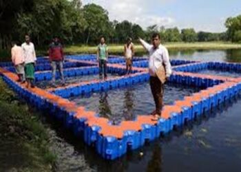 Cage culture project launched at Twisinta Lake to boost livelihood