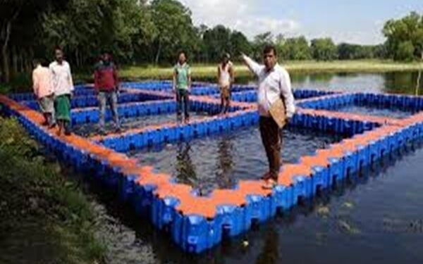 Cage culture project launched at Twisinta Lake to boost livelihood