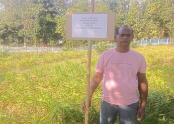Champamura becomes Tripura’s model hub for natural farming