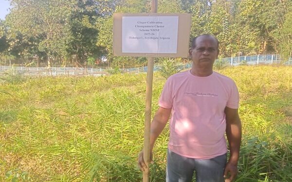 Champamura becomes Tripura’s model hub for natural farming