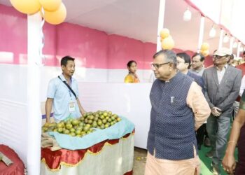 Tripura expands orange cultivation, pushes floriculture