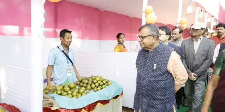Tripura expands orange cultivation, pushes floriculture