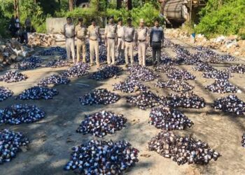 Crime Branch, Tripura Police Lead Major Anti-Drug Operation