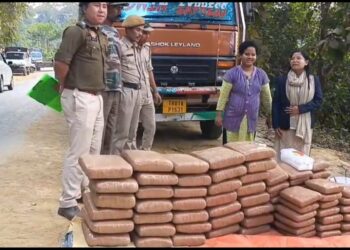 Police Seize 150 Kg Dry Cannabis at Ambassa Checkpoint