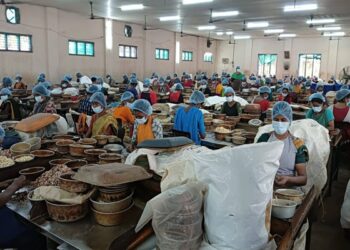 Rajnagar Team Completes Exposure Visit to Kollam’s Cashew Hub to Boost Women-Led Enterprises