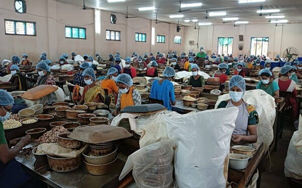 Rajnagar Team Completes Exposure Visit to Kollam’s Cashew Hub to Boost Women-Led Enterprises
