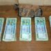 ₹2.5 Lakh Bangladeshi Currency Seized During Border Patrol at Kulubari Kajitilla