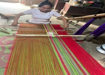 TRIPTI Project Empowers Rural Woman to Build Sustainable Livelihood in Tripura