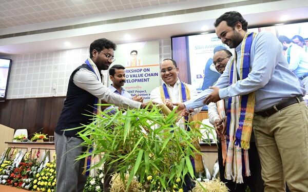 Tripura Govt Pushes Modern Bamboo Cultivation, Industry Development