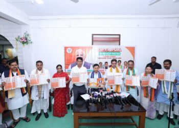 TTAADC manifesto: BJP promises council upgrade
