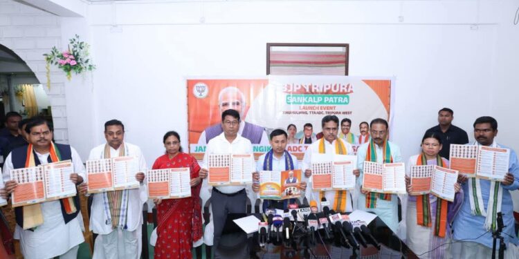 TTAADC manifesto: BJP promises council upgrade