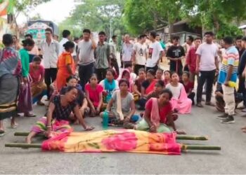 Elderly Woman Killed in Elephant Attack in Tripura, Tensions Flare in Khowai